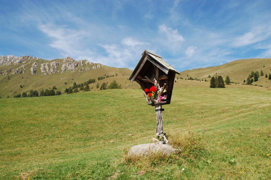 Cimon Dolomites Hotel Predazzo Kültér fotó