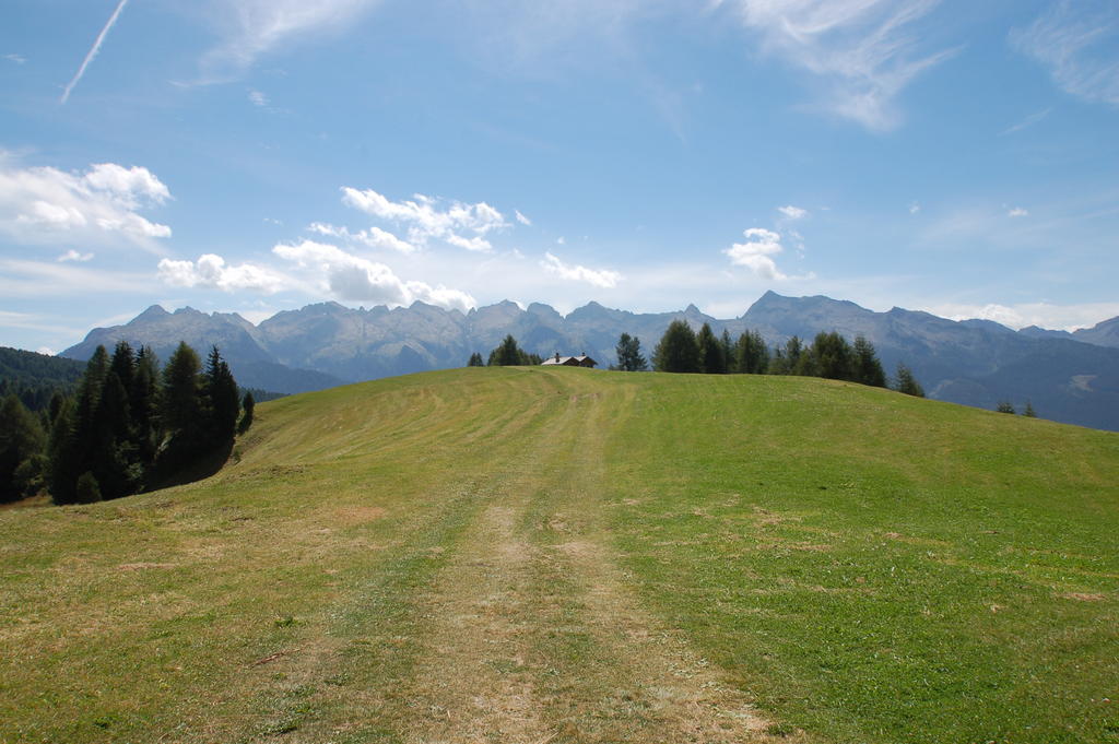 Cimon Dolomites Hotel Predazzo Kültér fotó